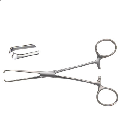 Allis Tissue Forceps Price in Pakistan - Image 2